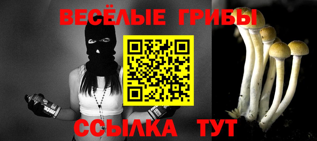 продажа наркотиков  Галлюциногенные грибы Psilocybine cubensis  Галлюциногенные грибы ЛСД  Вход с VPN  Новотроицк 
