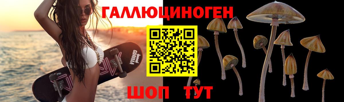 Псилоцибиновые грибы Psilocybine cubensis Новотроицк